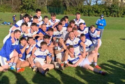 ورزش هورلینگ چیست؟ | بررسی تاریخچه ٬آموزش٬ترفند و درآمد از Hurling