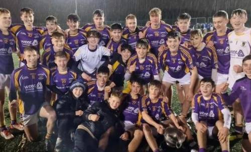 ورزش هورلینگ چیست؟ | بررسی تاریخچه ٬آموزش٬ترفند و درآمد از Hurling