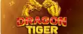 🎯 ۱۰ تکنیک طلایی دراگون تایگر برای افزایش شانس برد !